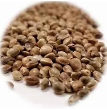 Natural Hemp Seeds